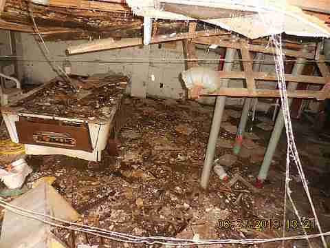 1085 Patricia (8)_m.jpg